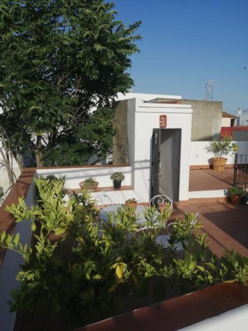 Apartamento El Sosiego Sanlúcar de Barrameda Eksteriør bilde